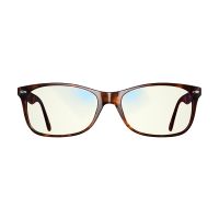 Swanwick Classic Day Tortoise - Large