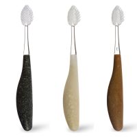 The Source Brush - Medium - 6 pack