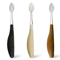 The Source Brush - Flossing - 6 pack