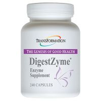 DigestZyme - 240 Capsules